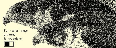 webstyleguide.com graphics graphics 7.9.gif" Scanning a Dithered Image A problem occurs when the dithering mask is not made up of randomly placed black-and-white pixels but has some regularity.