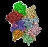 PDB protein descriptions ZINC 3-D structures 1 protein (1MB) 6 GB 2M structures (6 GB) FRED Manually prep DOCK6 rec file start DOCK6 Receptor (1 per protein: defines pocket to bind to) DOCK6 Manually