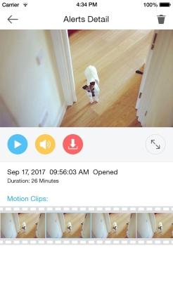 When motion is detected, the Pivot will automatically record a 30-second clip and send an alert to your