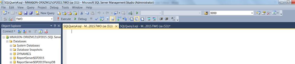 Fixing GP Errors Lab Exercise 5 Deleting and Rebuilding the PM Key file Step 1 Delete: Do this in SQL Management Studio Click New Query button Type the following Query