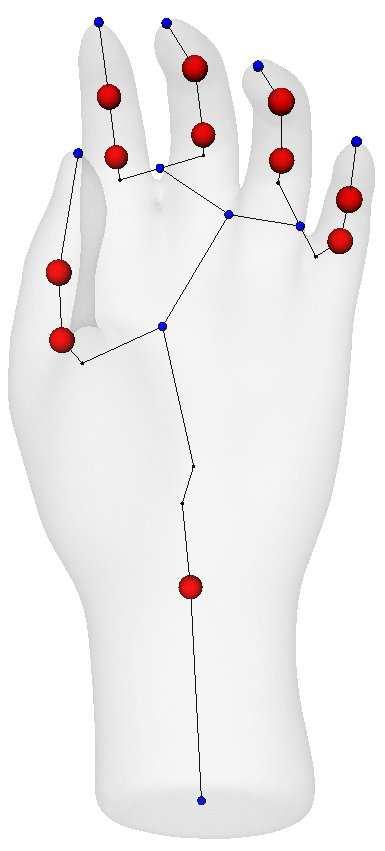 Thus, input dynamic shapes can be re-edited from their kinematic skeletons by applying local rotations on the edges of the skeleton, as shown in figure 7. 6.