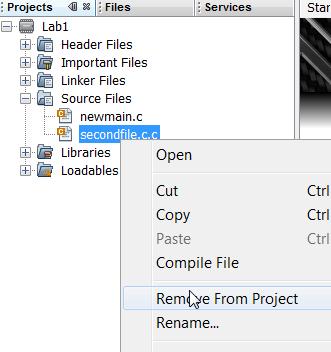 wish to remove from project then select Remove from Project