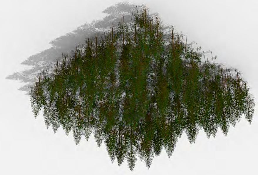 Virtual Forest stand Site L-Architect -