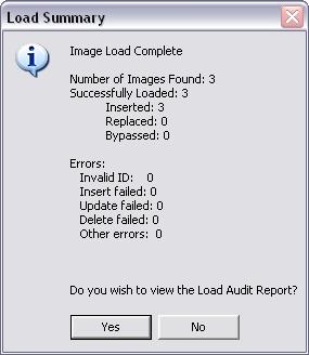 Statistics about the process are displayed in the Load Summary window.