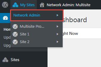 Multi-site Settings If you have multiple sites in WordPress, you can provide access of portal to all sites. All websites will be listed under My Sites tab in your WordPress Admin Account.