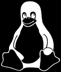 OS Best Practices (Linux) Keep libraries and software updated Disallow Root