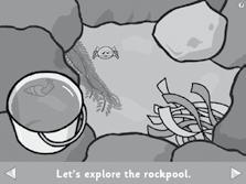 ) The Rock Pool This is an exploring and collecting activity. Click on the seaweed or the big rock to look underneath. Have you caught something? Click on it to put it in your bucket.