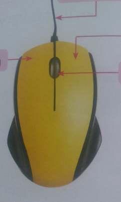 Lesson- 7 MOUSE Q-1 Write the name of mouse s parts. Left button Right button Wire (tail) Scroll- wheel Q-2. Answer the following questions. 1. Write name of two mouse. 1. Optical mouse 2.