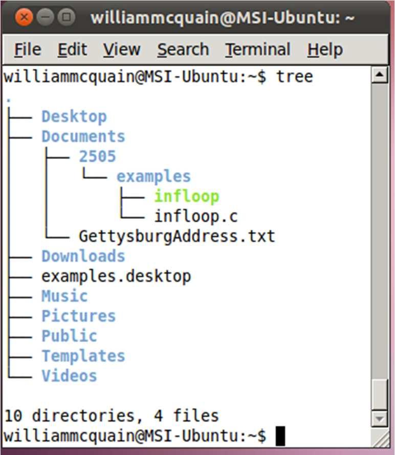 Directory Tree Linux Commands 12 You can display a map