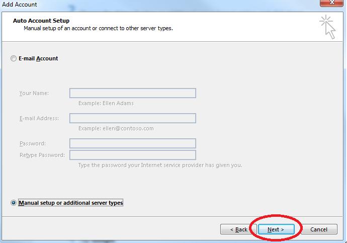 Choose the Manual setup or additional server types option and click Next.
