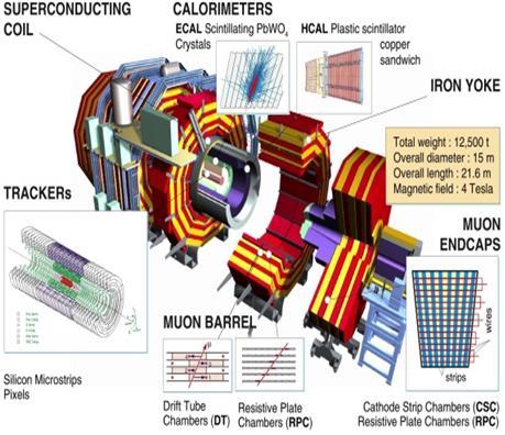 Brief Introduction to CMS and RPC CMS (Compact Muon Solenoid) is one of the main experiment sight at LHC.