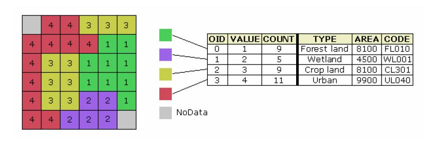 Raster data set Raster attribute table There is a row for each distinct value in the data set. A column contains the count of the number of cells with each value.