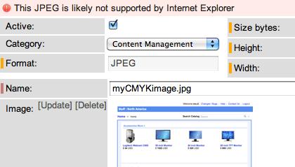 Images vs attachments If you want to access an image from a record, or if you want to prevent users from appending the image name to the URL of the instance, upload it as an attachment instead.