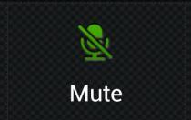 Mute This function allows you to silence your voice during a call while you can still hear the