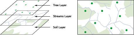 GIS Concepts GIS Concept # 2: Information is separated into layers We can also have other layers of information in our GIS. Our information on trees would constitute one layer of information.