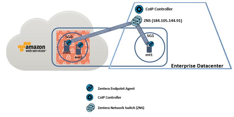 packets to the AWS Server (aws1). Packet capture on aws1 shows TLS 1.2 connection established to ZNS (184.105.144.91) as it receives packets from ent1.