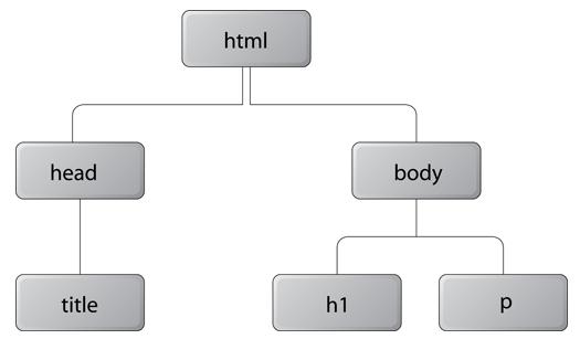 DOM Tree Each object in the DOM tree is called a node. There are several types of nodes, including element nodes and text nodes. <!DOCTYPE html PUBLIC "-//W3C//DTD HTML 4.01//EN"! "http://www.w3.