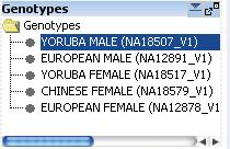 4 Data Viewing Reference Genotypes pane (CGH only) Genotypes pane (CGH only) Figure 27 Genotypes pane of the Navigator (CGH only) The imported genotype references in the database are displayed in