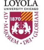 Getting Started with Loyola s Voicemail