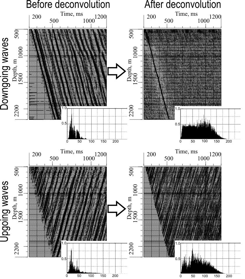 Fig. 3. Zero-phase deconvolution of VSP data. case when intensive converted shear waves are observed, vector inversion algorithm should be implemented (Tabakov et al., 2005).