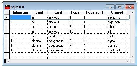 from person left join pet ; on ; union ; select cnaf, cnal, cnapet ; from pet left join person ; on person.iidperson = pet.iidperson") Figure 1. A join executed in SQLite.