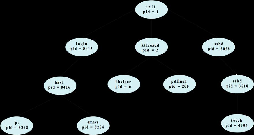 An example tree of processes Source: