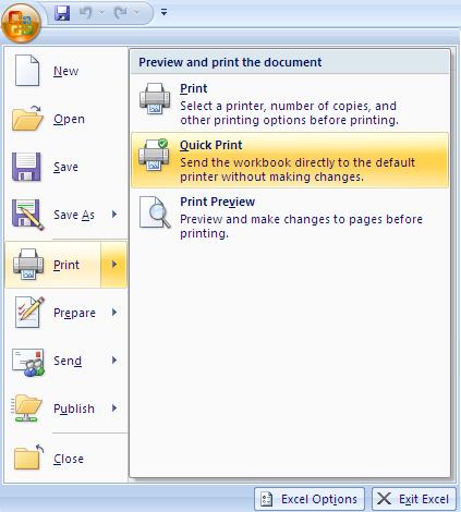 QUICK PRINT You are going to print the worksheet. A little later in the course you will learn how to refine the print out but for now you will print using the default settings.