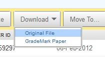When you select the button for Download, you will have the option to select either the Original File or the GradeMark paper.