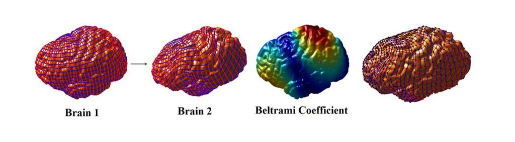 Beltrami representation of diffeomorphisms Coordinates functions representation f ( f1, f2, f3) Constraints: