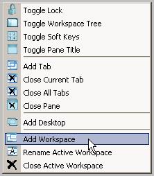 Figure 27: View controls - right click menu Or Go to the Window menu Window Options and choose Workspace. A Workspace is added to the window. Its tab appears to the right of the last tab.
