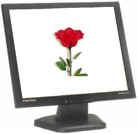 Make a pointer on the screen to point the flower. A mouse usually has two buttons but some may have one or three buttons. How many buttons does your mouse have?
