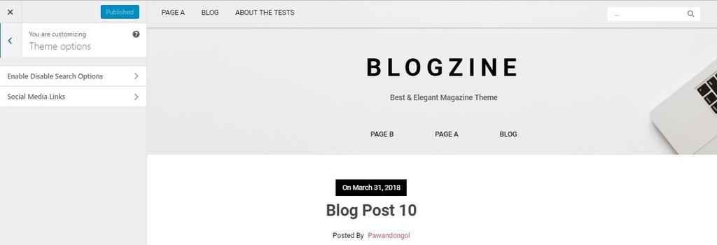You can now further customize and manage the appearance of your website via the extensive options panel of Blogzine.