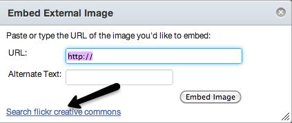 Edit Syllabus Description To populate the Syllabus content area with text or images, click on the Edit Syllabus Description button. You can type or copy/paste text into the Rich Content Editor (RCE).