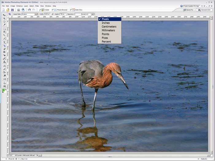Adobe Elements for Cropping and Saving -