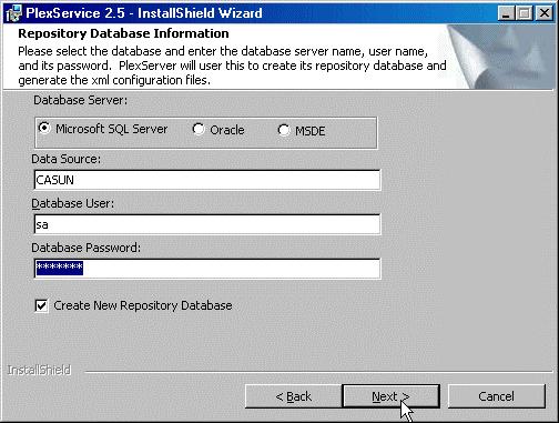 Select the Database Type. Enter the Database Server Name, Database User, and the Database Password (from the preparation steps earlier) in the Repository Database Information window.