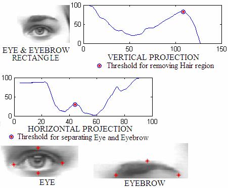 Fig.5: Vertical and horizontal gray-level projection 3 Hybrid Tracking System We used our enhanced two-step version of active contours to track lower face FFPs and cross correlation-based tracking