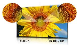Stunning 4K Ultra HD Resolution on the Desktop This 4K2K Ultra HD display provides the highest resolution available in a desktop monitor.