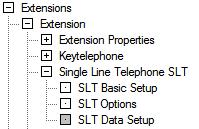 Configure the SL2100 Analogue Extensions Timers for analogue extensions are setup in Easy Edit-Extensions-Extension-Single Line Tele[hone SLT-SLT Data Setup The following timers are available.