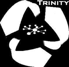 Trinity A distributed, in-memory key/value store A graph database for