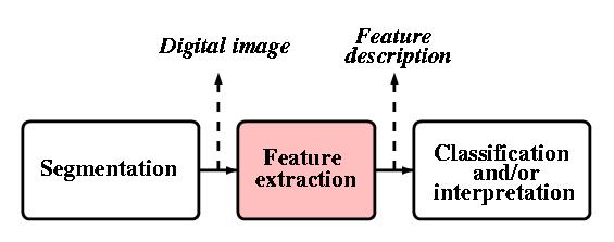 Feature extraction shape