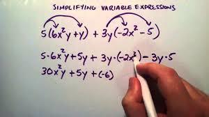 WHAT VARIABLES?
