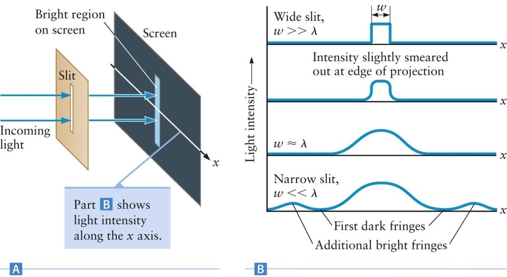 Light Through a Single Slit Light passes through a slit or opening and then illuminates a screen As the width of the slit gets