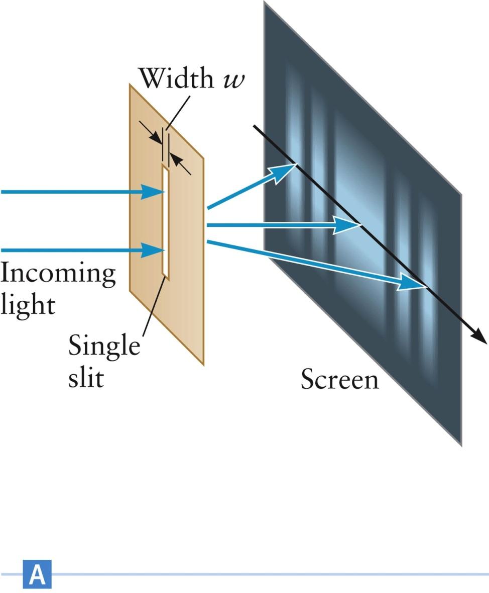 Single-Slit Interference Slits may be narrow enough to exhibit diffraction but
