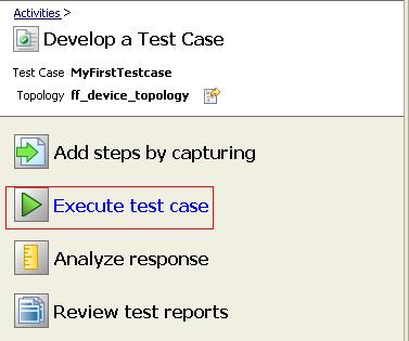 2. The Execute Test Case activity page opens.