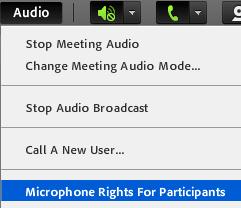 Microphone Rights for Participants When using computer or VoIP or a blend of both Reservationless-Plus audio and VoIP, the Host can enable microphone rights for attendees.