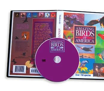 DVDs DVDs allow you to connect with your fans. They will love seeing interviews with the band members, candid moments in the recording studio, even live performances.