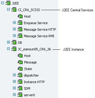 SAP NetWeaver Performance and J2EE stack application classes The J2EE container contains the J2EE Database application class, as well as the J2EE Central Services container, and a container for each