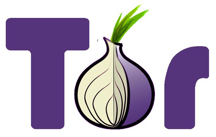 Tor Onion The onion alone.