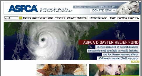 ASPCA Micro-Campaign: Katrina 1. Ask is front and center on home page 3.