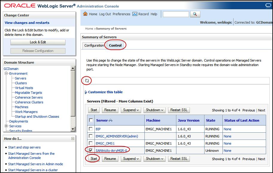 Starting the New Server 1. On the Summary of Servers page, click the Control tab. Figure 11 Summary of Servers Control Tab 2. Check the box next to the new server s name. 3. Click Start. 4.